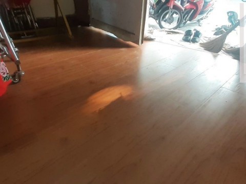 REDSUN R95 ,LÊ VĂN THỌ ,GÒ VẤP . 48M2